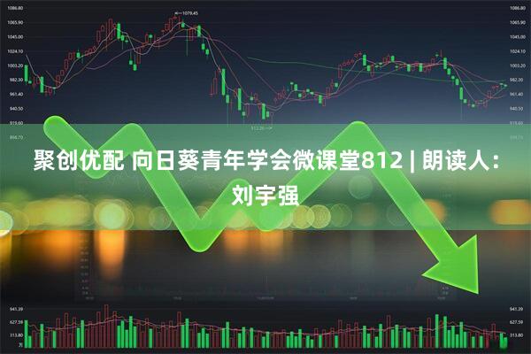 聚创优配 向日葵青年学会微课堂812 | 朗读人：刘宇强