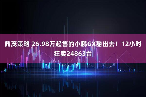 鼎茂策略 26.98万起售的小鹏GX豁出去！12小时狂卖24863台